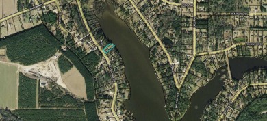 Lake Riverside  Lot For Sale in Ochlocknee Georgia