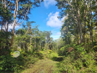 220 PRIVATE ACRES WITH CABIN IN WOODS IN THE KONA COFFEE BELT A - photo 2