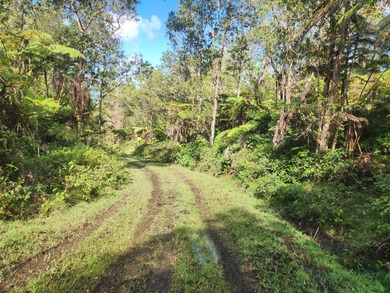 220 PRIVATE ACRES WITH CABIN IN WOODS IN THE KONA COFFEE BELT A - photo 3