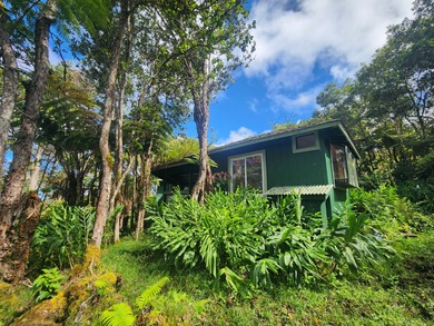 220 PRIVATE ACRES WITH CABIN IN WOODS IN THE KONA COFFEE BELT A - photo 5