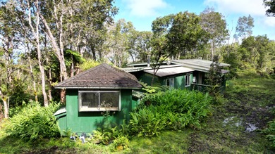 220 PRIVATE ACRES WITH CABIN IN WOODS IN THE KONA COFFEE BELT A - photo 6