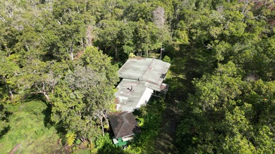 220 PRIVATE ACRES WITH CABIN IN WOODS IN THE KONA COFFEE BELT A - photo 8