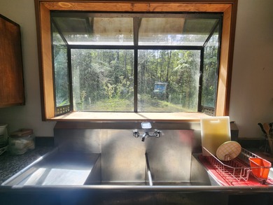 220 PRIVATE ACRES WITH CABIN IN WOODS IN THE KONA COFFEE BELT A - photo 10