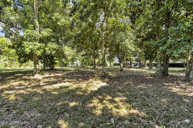 Cleared lot in the heart of Biloxi. At one time was the location - photo 3