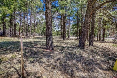 Lake Forest Lot For Sale in Pagosa Springs Colorado