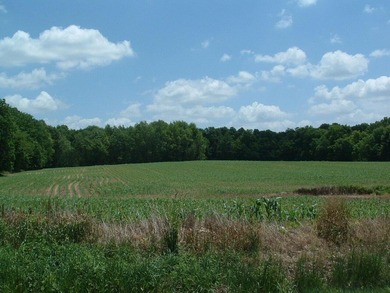 46.49 Acres with over 1,550 feet of road frontage, featuring a - photo 2