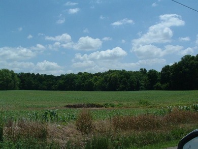 46.49 Acres with over 1,550 feet of road frontage, featuring a - photo 3