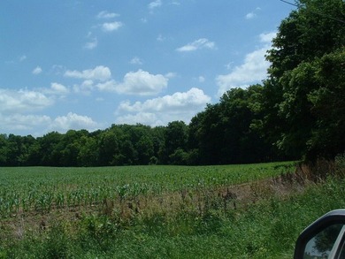 46.49 Acres with over 1,550 feet of road frontage, featuring a - photo 4