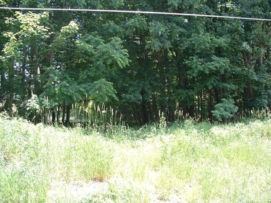46.49 Acres with over 1,550 feet of road frontage, featuring a - photo 5