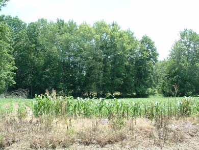 46.49 Acres with over 1,550 feet of road frontage, featuring a - photo 6