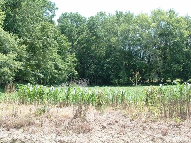 46.49 Acres with over 1,550 feet of road frontage, featuring a - photo 7