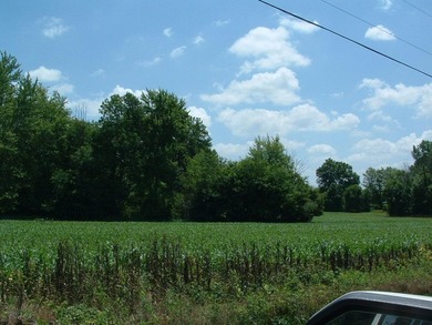 46.49 Acres with over 1,550 feet of road frontage, featuring a - photo 8