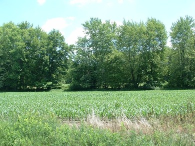 46.49 Acres with over 1,550 feet of road frontage, featuring a - photo 9