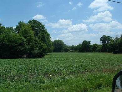 46.49 Acres with over 1,550 feet of road frontage, featuring a - photo 10