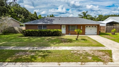 Lake Home Sale Pending in Seffner, Florida