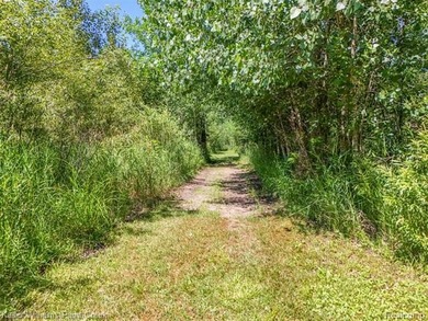 Welcome to your ultimate Northern Michigan escape and prime - photo 43