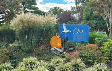 (private lake, pond, coastal) Home Sale Pending in Port Washington New York