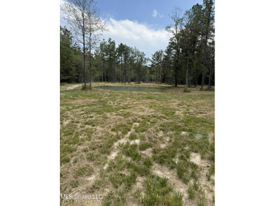 (private lake, pond, creek) Acreage For Sale in Wiggins Mississippi