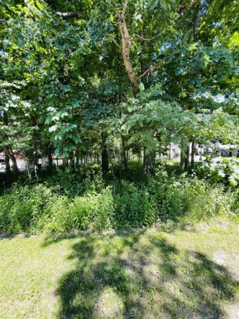 Lake Lot Off Market in Albion, Indiana