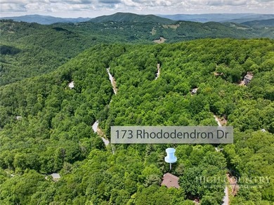 Magnificent home embraced by rhododendrons and hardwood trees - photo 11