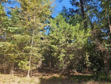 Lake Lot For Sale in Bullard, Texas