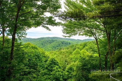 Magnificent home embraced by rhododendrons and hardwood trees - photo 42