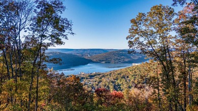 Welcome to Tennessee's Premier Mountain Community River Gorge - photo 3
