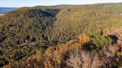 Welcome to Tennessee's Premier Mountain Community River Gorge - photo 6