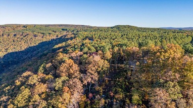 Welcome to Tennessee's Premier Mountain Community River Gorge - photo 8