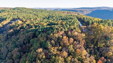 Welcome to Tennessee's Premier Mountain Community River Gorge - photo 10