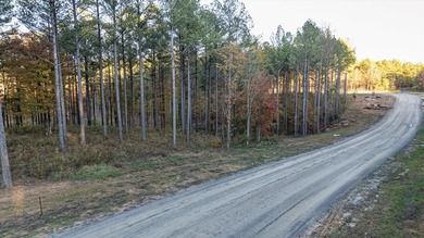 Nick-a-Jack Lake Lot For Sale in Guild Tennessee