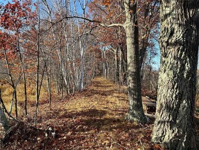 (private lake, pond, creek) Acreage For Sale in Jevne Twp Minnesota