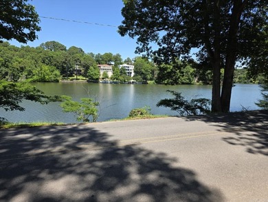 LOT FOR SALE overlooking NLR Lake #1 with most excavation - photo 4