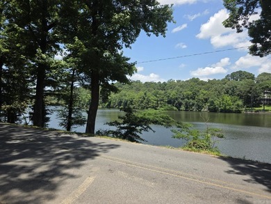 LOT FOR SALE overlooking NLR Lake #1 with most excavation - photo 6