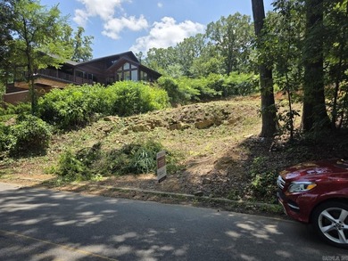 LOT FOR SALE overlooking NLR Lake #1 with most excavation - photo 7