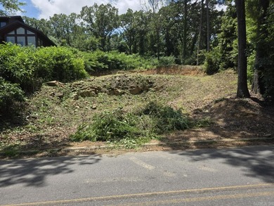 LOT FOR SALE overlooking NLR Lake #1 with most excavation - photo 8