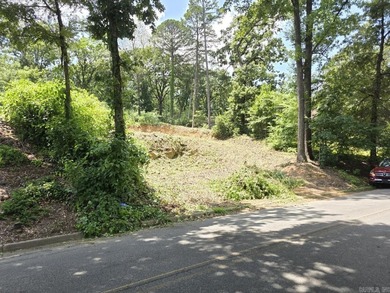 LOT FOR SALE overlooking NLR Lake #1 with most excavation - photo 9