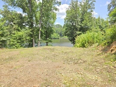 LOT FOR SALE overlooking NLR Lake #1 with most excavation - photo 10