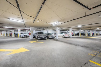 Beautiful high-floor 1-bedroom, 1-bath condo. This bright and - photo 6