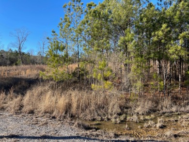 Lake Lot Off Market in Jasper, Alabama