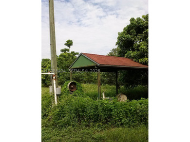 5 Acres Income producing Lychee and other fruit trees. Located - photo 3