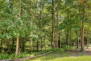 Enjoy the freedom of country living without the restrictions of - photo 44