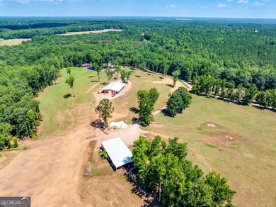 Hidden Gem in Walton County. Beautiful 124 Acre Cattle Farm (5 - photo 4