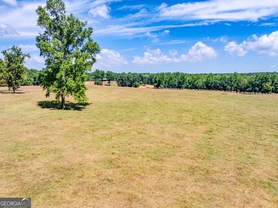Hidden Gem in Walton County. Beautiful 124 Acre Cattle Farm (5 - photo 5