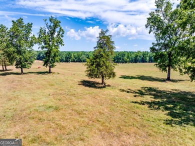 Hidden Gem in Walton County. Beautiful 124 Acre Cattle Farm (5 - photo 6