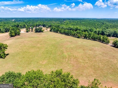 Hidden Gem in Walton County. Beautiful 124 Acre Cattle Farm (5 - photo 7