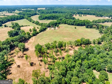Hidden Gem in Walton County. Beautiful 124 Acre Cattle Farm (5 - photo 8