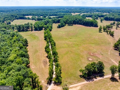 Hidden Gem in Walton County. Beautiful 124 Acre Cattle Farm (5 - photo 9