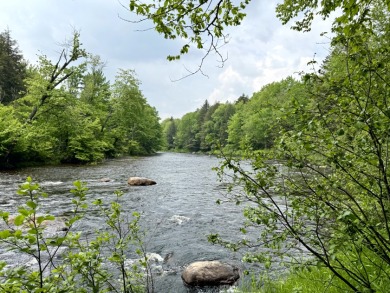 Cedar River - Adirondacks - Lake Lot For Sale in Indian Lake, New York