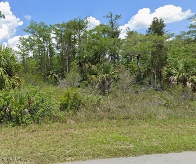 Lehigh Acres Area Lot For Sale in Lehigh Acres Florida